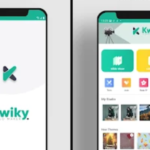 Kwiky